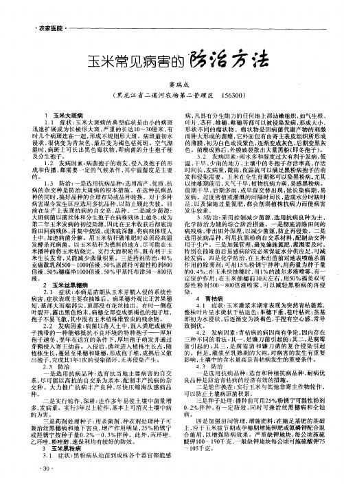 玉米常见病害的防治方法