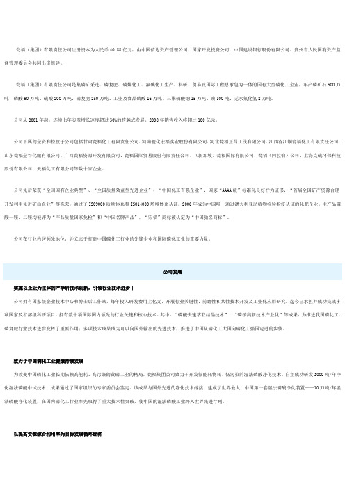 翁福化工有限责任公司