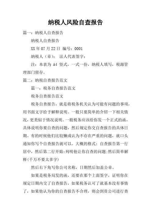 纳税人风险自查报告doc