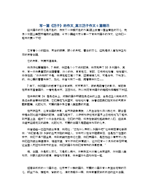 写一篇《鸽子》的作文_高三鸽子作文6篇精选