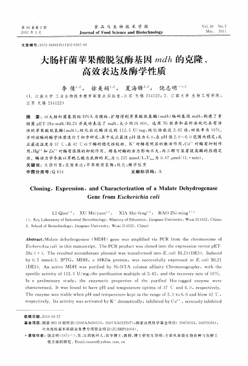 大肠杆菌苹果酸脱氢酶基因mdh的克隆、高效表达及酶学性质