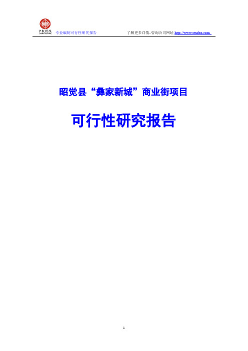 昭觉县“彝家新城”商业街项目可行性研究报告