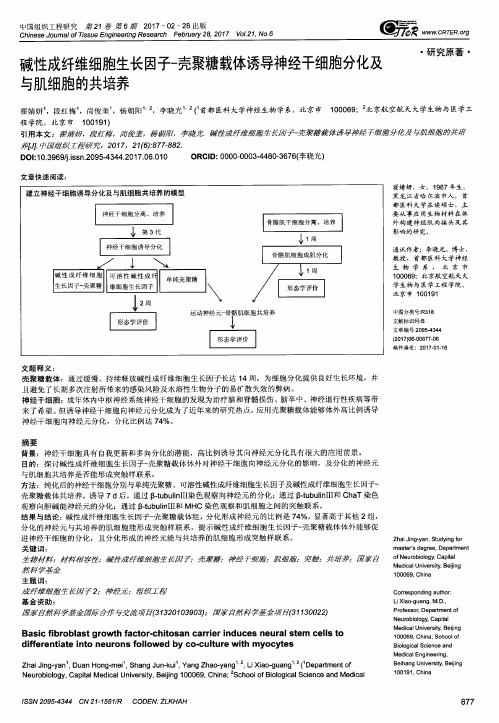 碱性成纤维细胞生长因子-壳聚糖载体诱导神经干细胞分化及与肌细