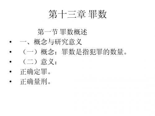 第13章 罪数