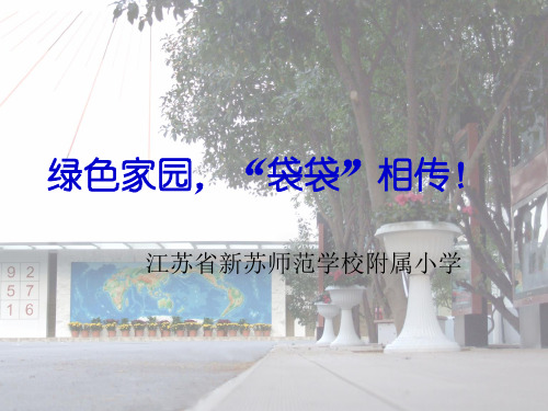 苏教版小学综合实践活动《绿色家园,“袋袋”相传》市公开课公开课课件