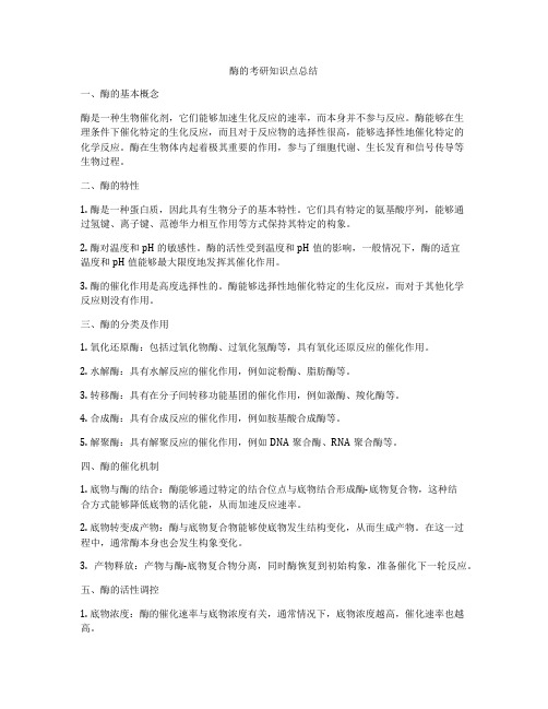 酶的考研知识点总结