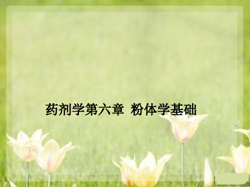 [医学]药剂学第六章  粉体学基础
