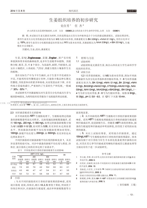 生姜组织培养的初步研究