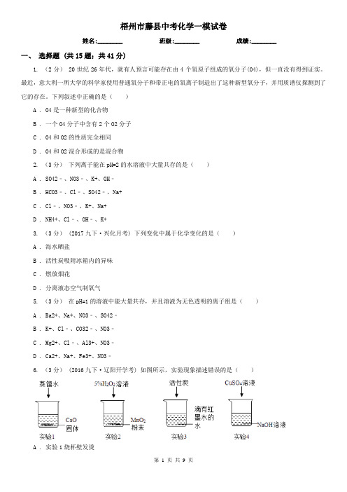 梧州市藤县中考化学一模试卷