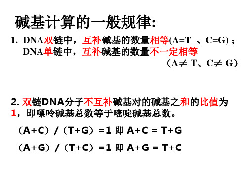 碱基计算规律