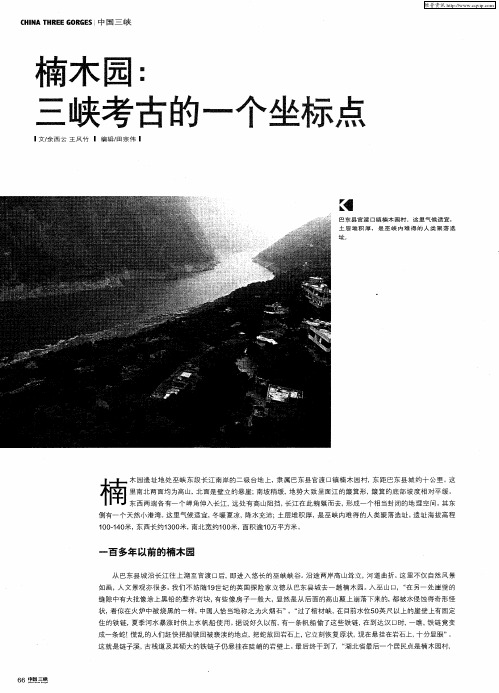 楠木园：三峡考古的一个坐标点