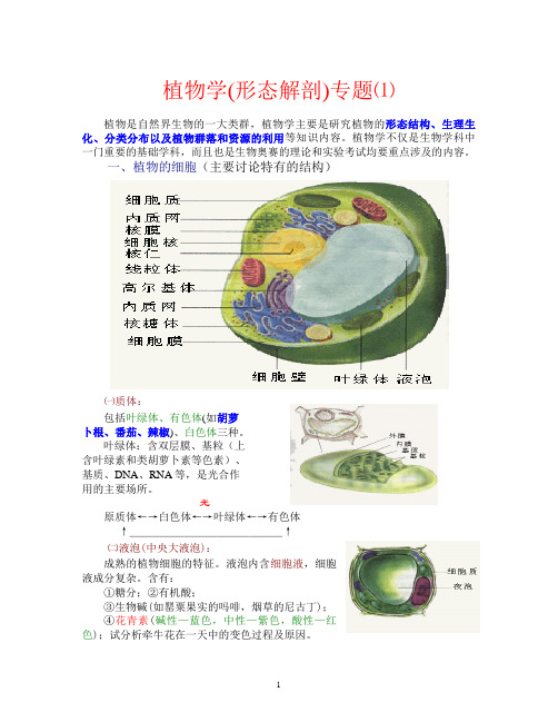 植物形态解剖专题1