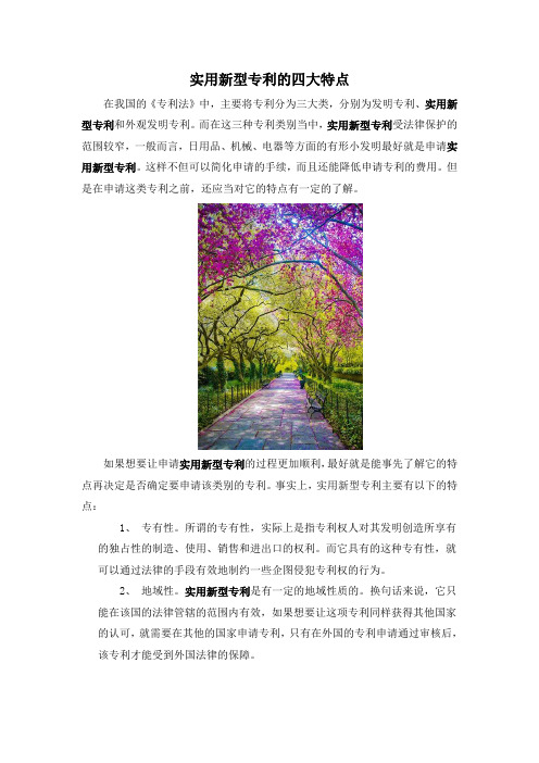 实用新型专利的四大特点