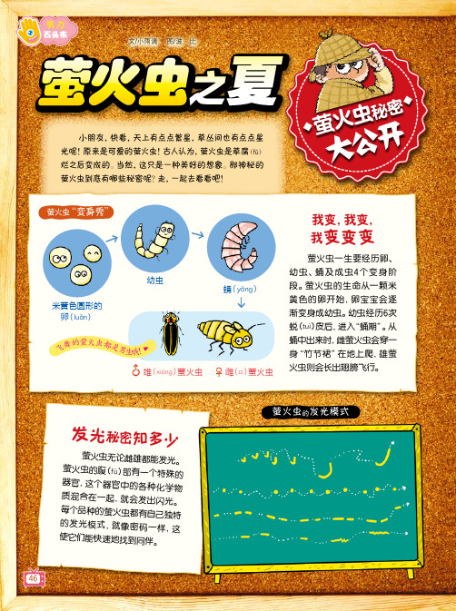 萤火虫之夏
