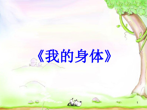 幼儿主题活动 《我的身体》ppt课件