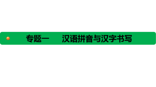 2.专题一 汉语拼音与汉字书写--课时一 必背一