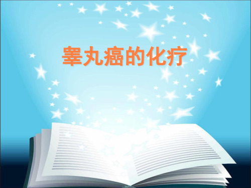睾丸癌的治疗PPT课件