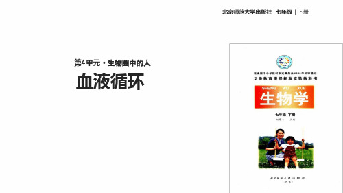 七年级下册生物课件 492血液循环课件2北师大版