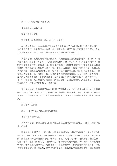 我实践我快乐作文