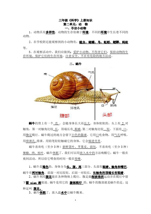 教科版三年级科学上册第二单元复习资料