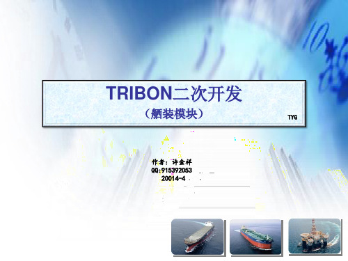 TRIBON二次开发 舾装 二次开发及生产设计应用