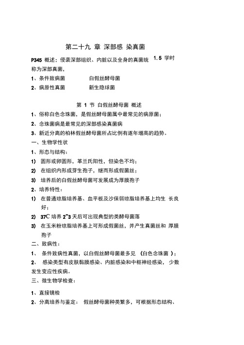 深部感染真菌