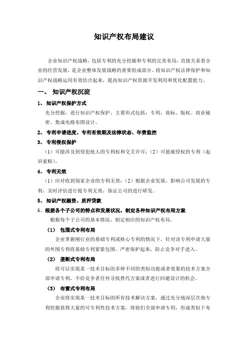 知识产权布局 - 副本