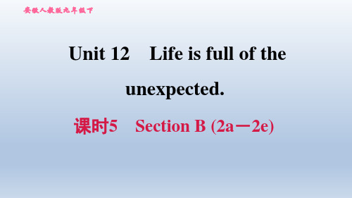 2021春人教版九年级英语下册 Unit 12 课时5 Section B (2a-2e)