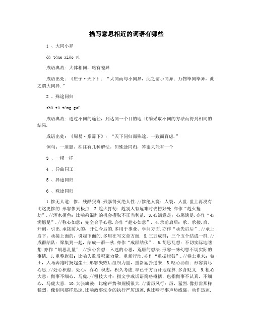描写意思相近的词语有哪些