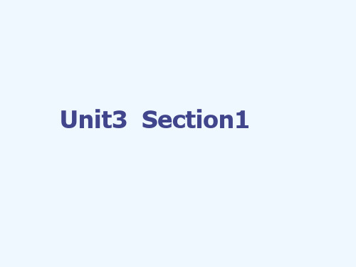 高中英语unit3thecomputersection1ppt