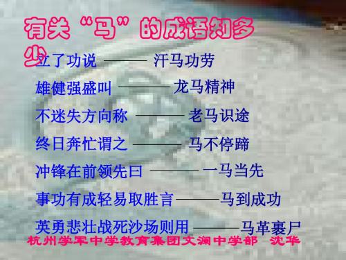 马PPT24 人教版