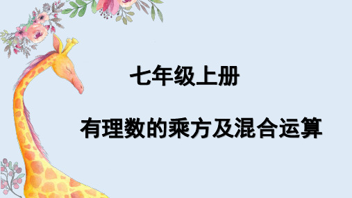 有理数的乘方及混合运算