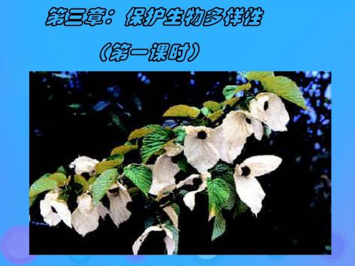 八年级生物上册6.3《保护生物的多样性》课件(34张)
