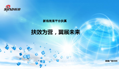 新浪扶翼产品资料(PPT35页)