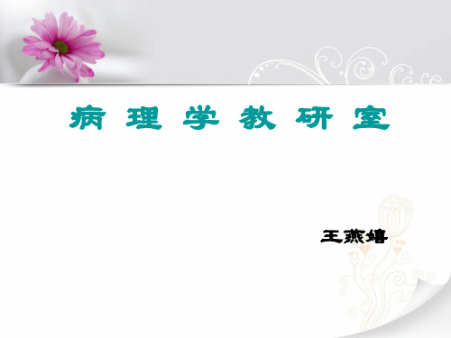 肿瘤3xin