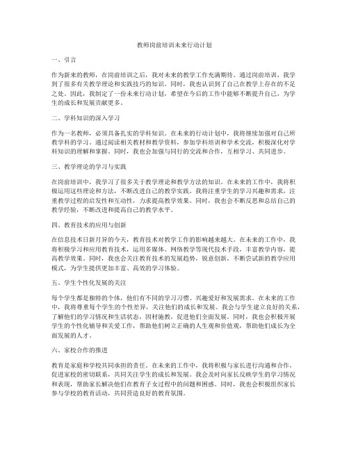 教师岗前培训未来行动计划