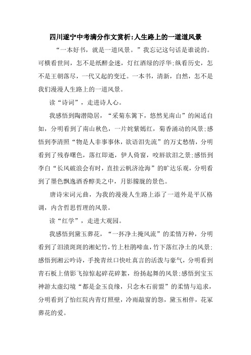 最新四川遂宁中考满分作文赏析-人生路上的一道道风景