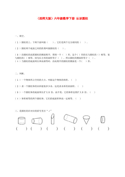 六年级数学下册 认识圆柱一课一练(无答案) 西师大版
