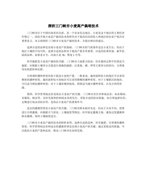探析三门峡市小麦高产栽培技术