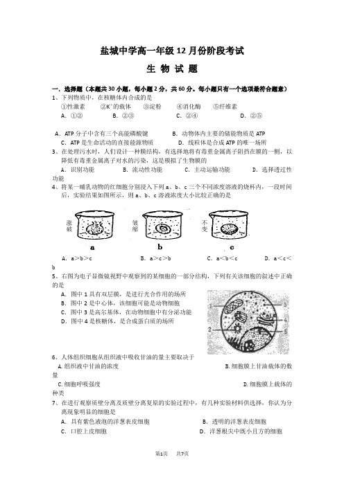 高一12月月考生物试题及答案