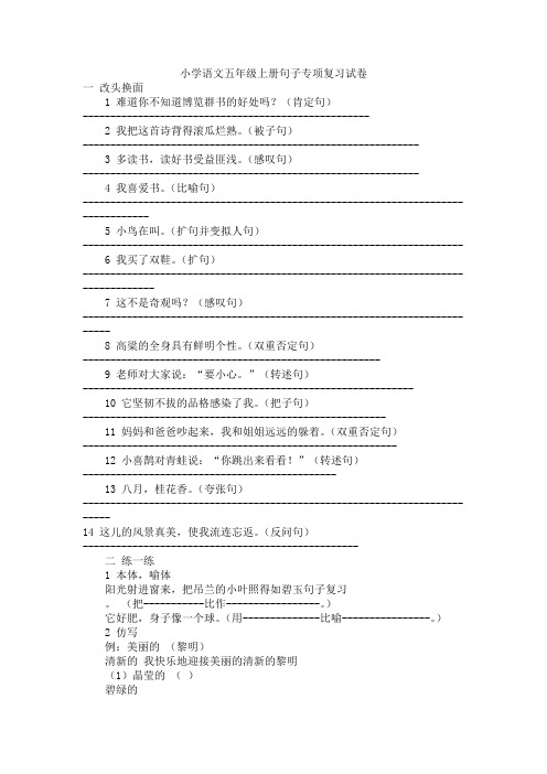 小学语文五年级上册句子专项复习试卷