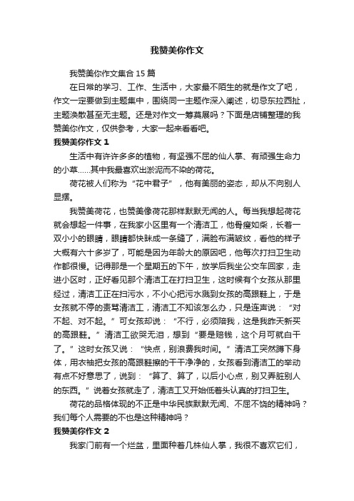 我赞美你作文