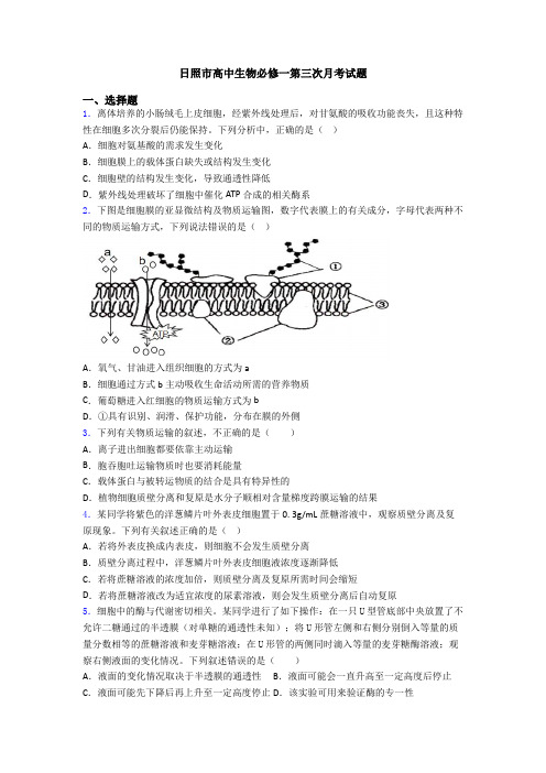 日照市高中生物必修一第三次月考试题