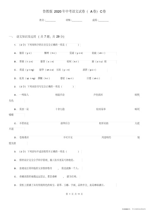 (精品文档)鲁教版2020年中考语文试卷(A卷)C卷