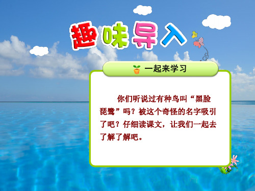 语文二上第21课《我叫黑脸琵鹭》(第1课时)ppt课件