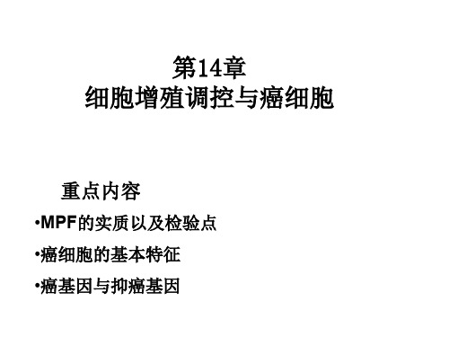 细胞生物学：第14章 细胞增殖调控与癌基因