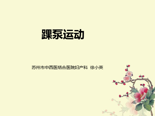 踝泵运动PPT课件