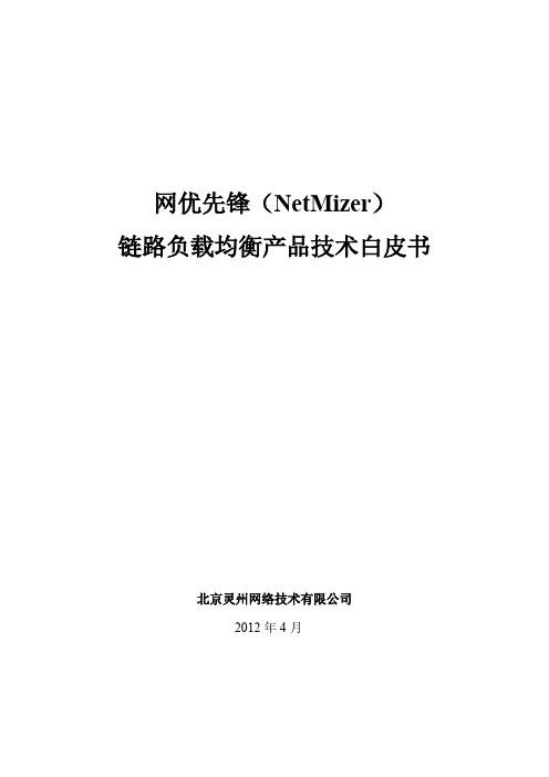 NetMizer链路负载均衡白皮书V3.0