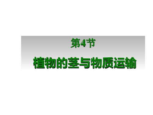 浙教版八年级下册科学4.4植物的茎与物质运输(共36张PPT)