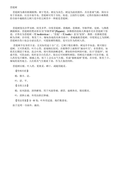 [0443]菩提树